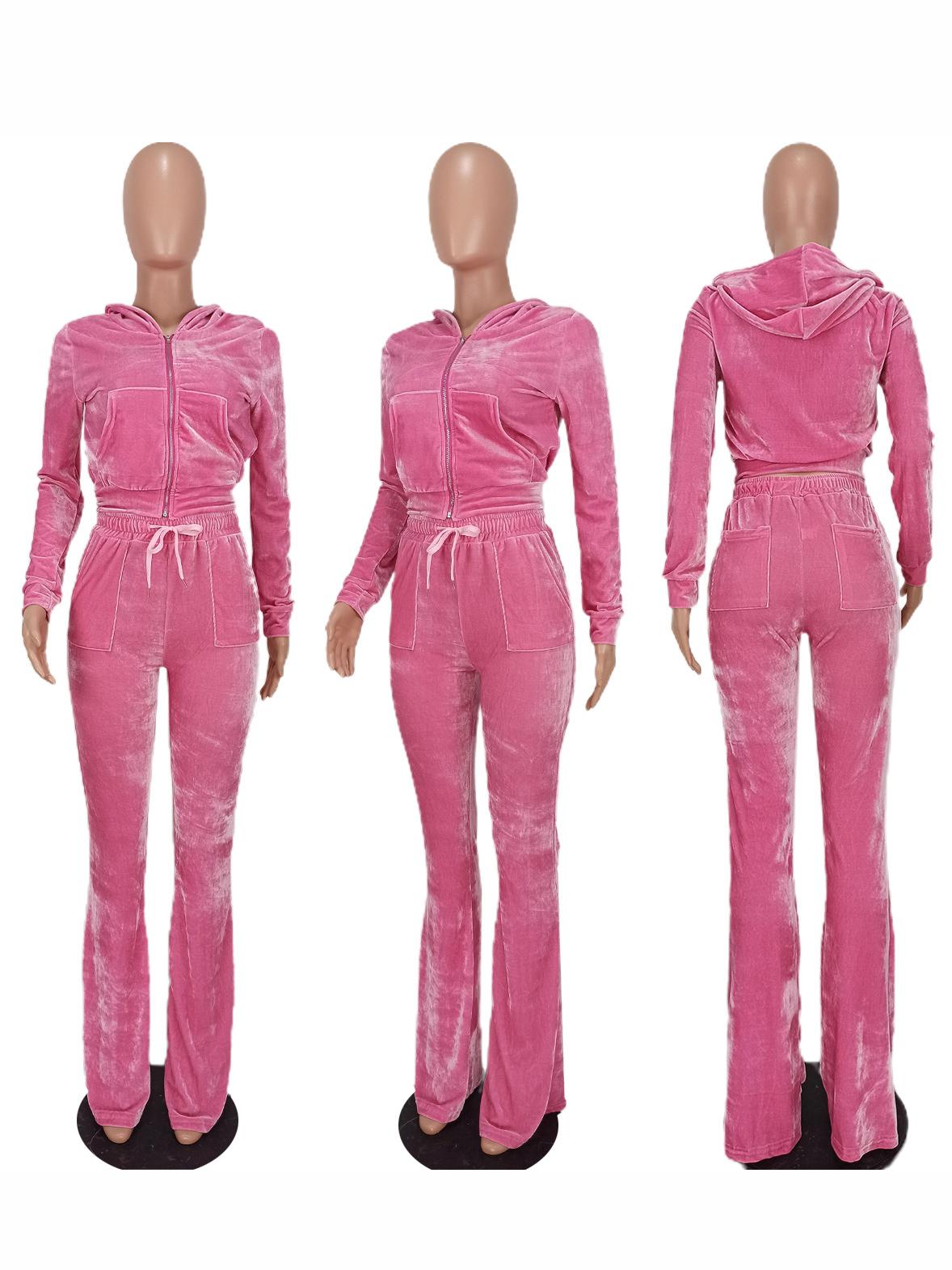 Autumn Zipper Hooded Collar 2 Piece Pant Sets