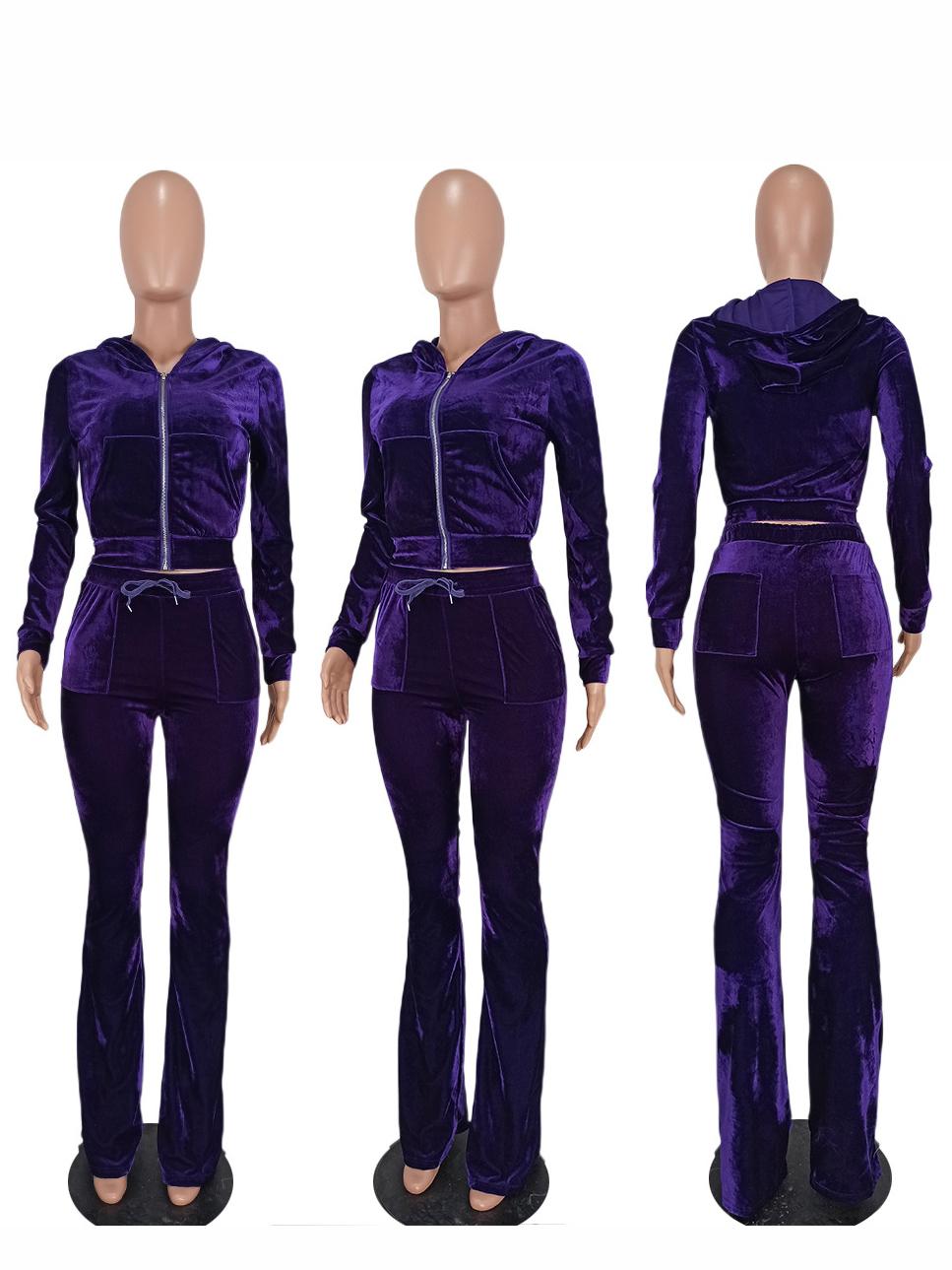 Autumn Zipper Hooded Collar 2 Piece Pant Sets